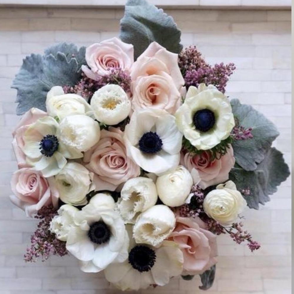 Meet your Posher, Remy